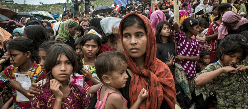 Seminario online: Rohingyas