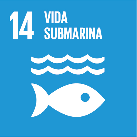 Vida submarina